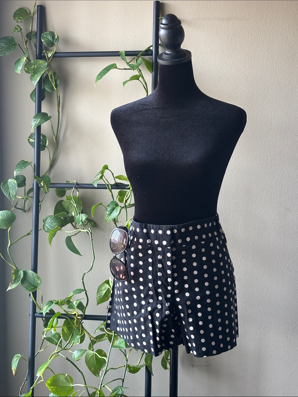 LOFT Black with White Polka Dot Shorts